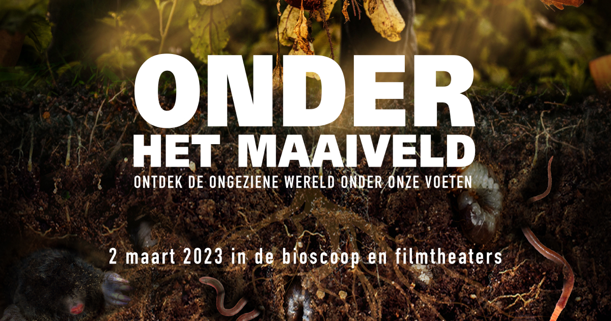 onder het maaiveld film officiële website trailer en tickets